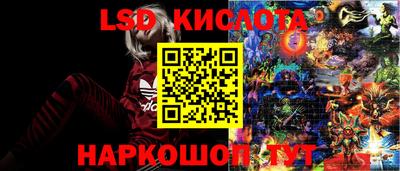 стафф Чебоксары