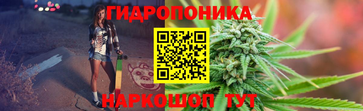 Марихуана White Widow Дербент